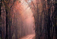 AutoSleepapp 睡眠监测_自动记录