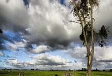 Fifa14SuperSkillMovesAPP 游戏辅助_高级技巧