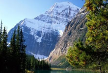 78 返利 APP 购物返利_78 专属